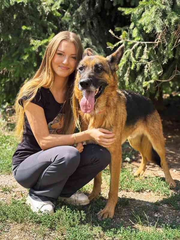 MAX - Ovčák - kastrovaný psík 7 let  - foto 2