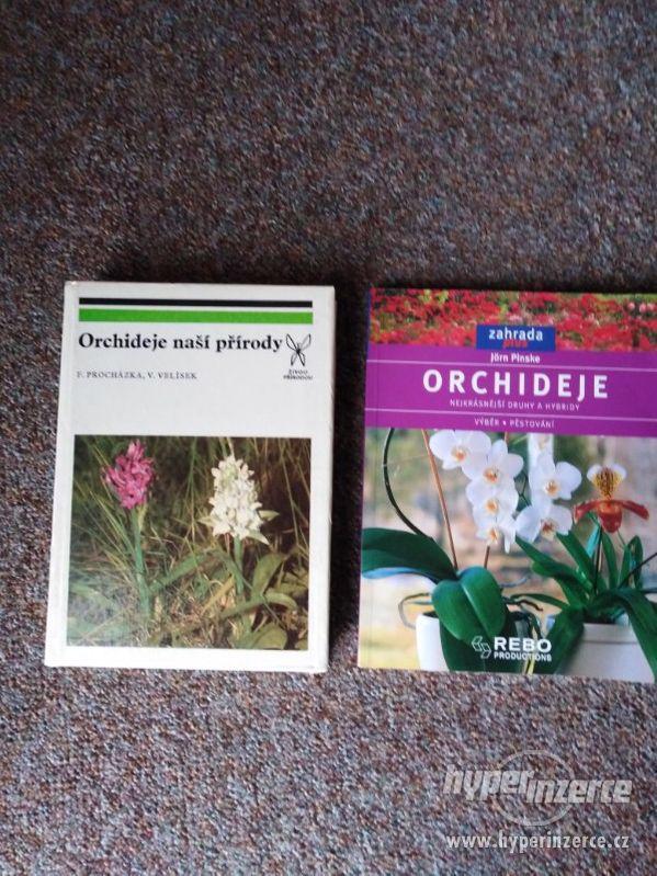 Orchideje - foto 1