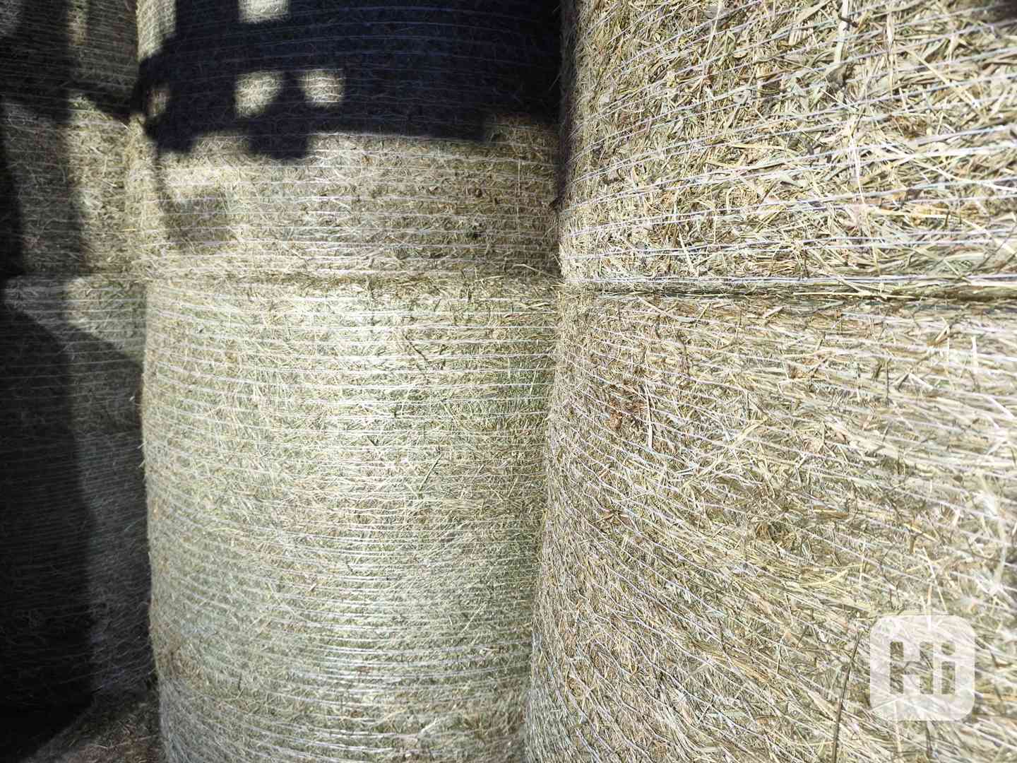 Kvalitní zelené Bio seno v suchu 150x120 čisté a bez plísně - foto 1