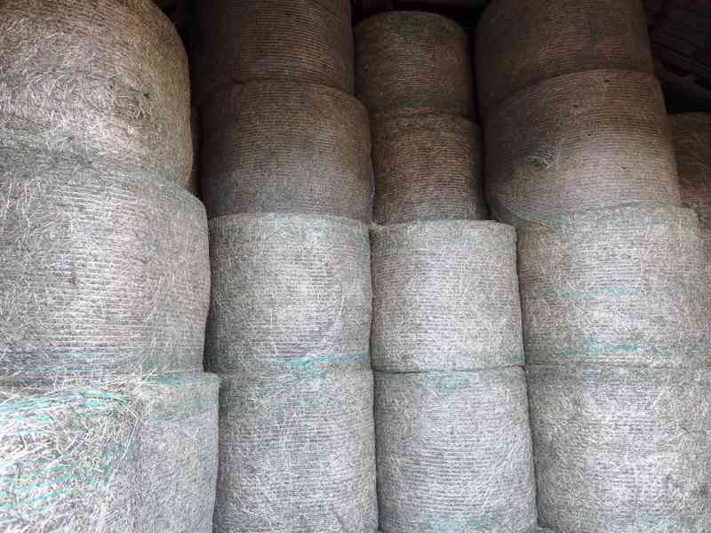 Kvalitní zelené Bio seno v suchu 150x120 čisté a bez plísně - foto 2