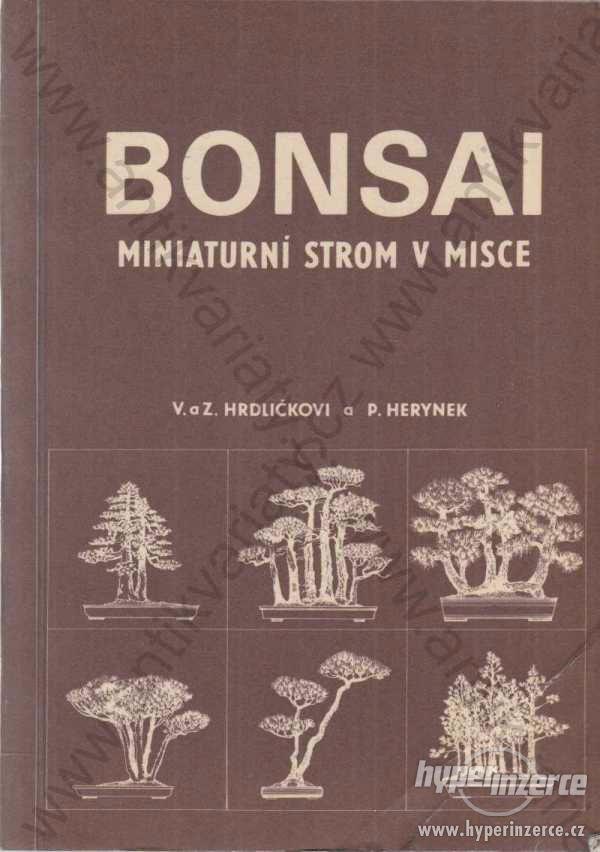 Bonsai - miniaturní strom v misce Hrdličkovi - foto 1