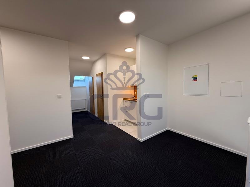 PRONÁJEM KANCELÁŘE O CP 14,40 M2, BRNO - KRÁLOVO POLE - foto 12