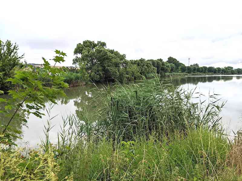 Pronajmu novostavbu 2+kk Slavkov u Brna,  Zelnice II - foto 24