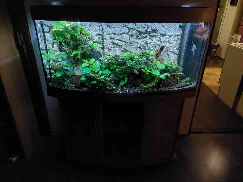 Akvárium JUWEL 260L (Co2/Chihiros/LED,Rostliny..) - foto 1
