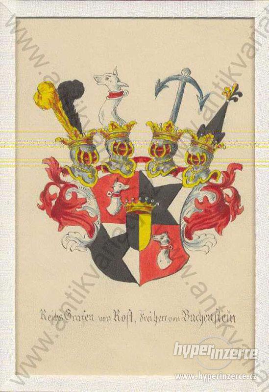 Reichs Graften von Rost, Freiherr von Buchenstein - foto 1