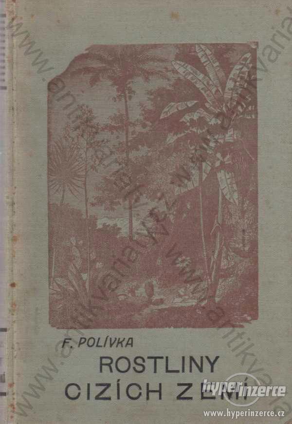 Užitkové  a pamětihodné rostliny cizích zemí 1908 - foto 1