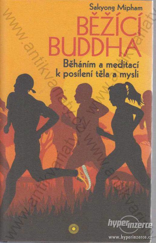 Běžící Buddha Sakyong Mipham Rybka Publishers 2014 - foto 1