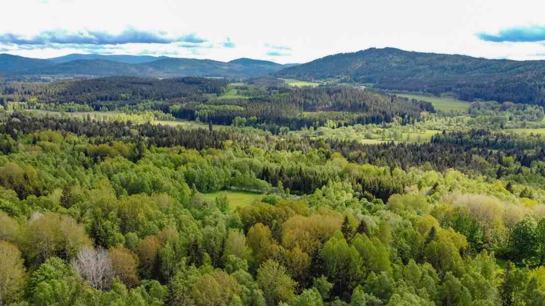 Prodej rekreačního domu v Horní Vltavici na šumavské samotě - foto 35