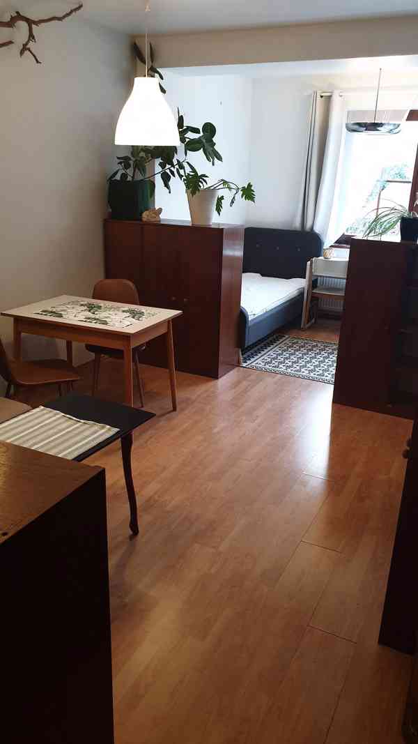 Pronájem bytu v RD 2kk,65m2, Brno Žabovřesky. Mozolky. - foto 5