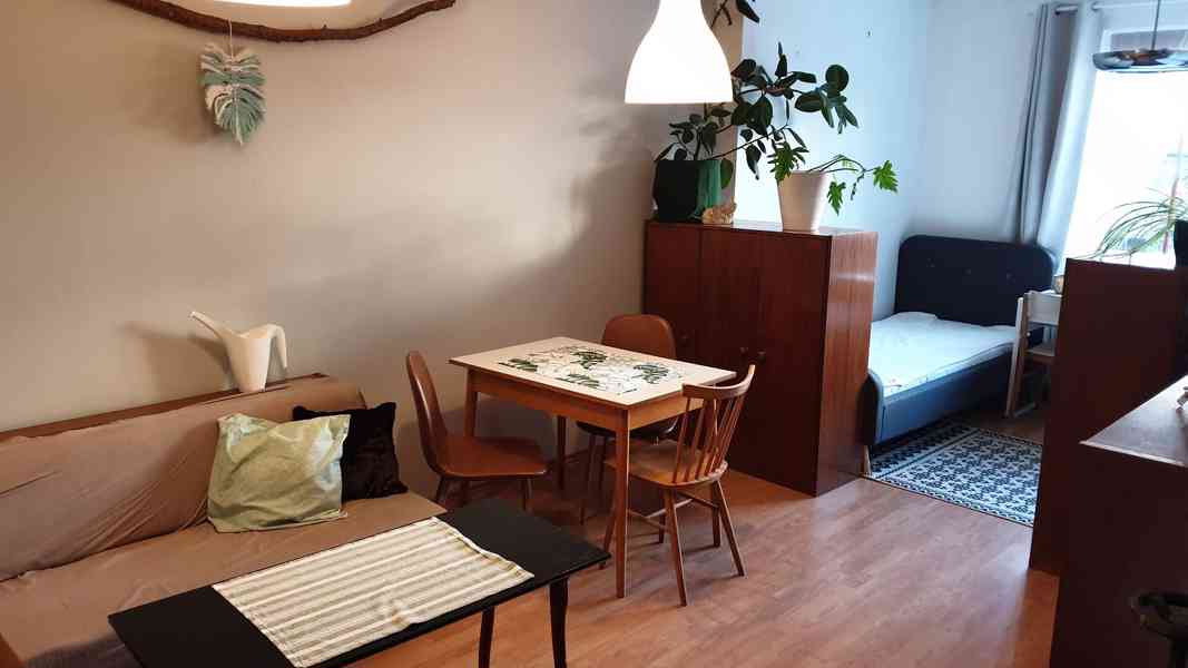 Pronájem bytu v RD 2kk,65m2, Brno Žabovřesky. Mozolky. - foto 9