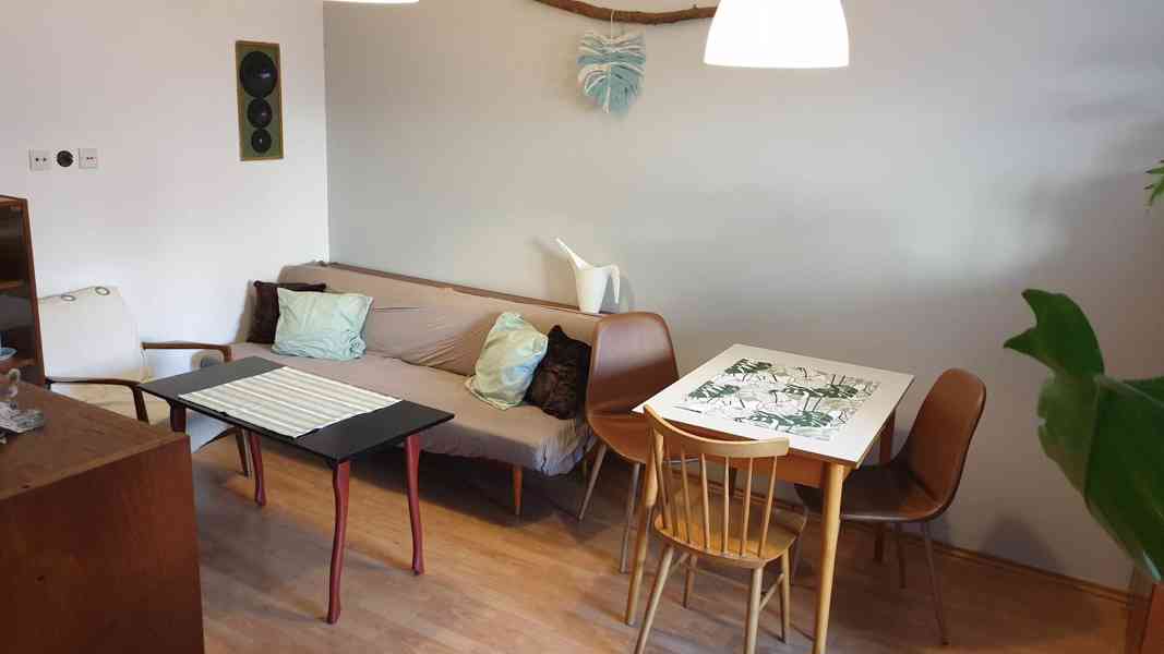 Pronájem bytu v RD 2kk,65m2, Brno Žabovřesky. Mozolky. - foto 11