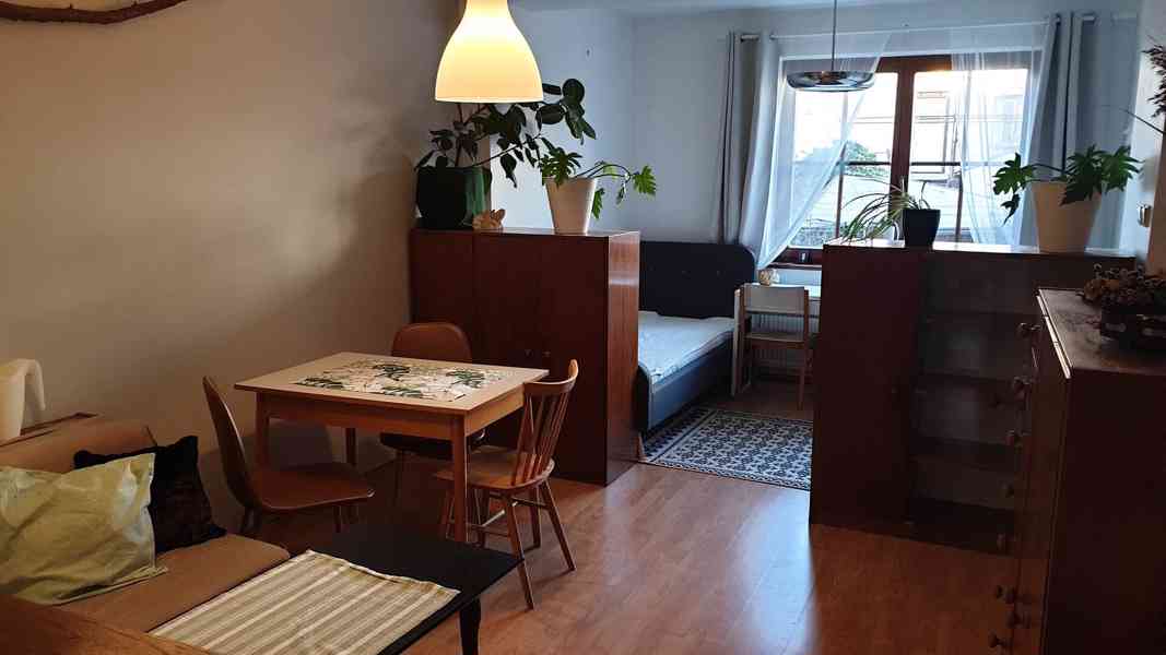 Pronájem bytu v RD 2kk,65m2, Brno Žabovřesky. Mozolky. - foto 10