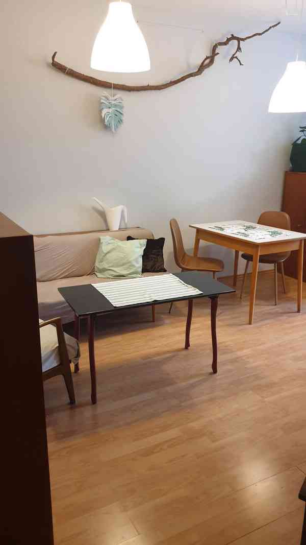 Pronájem bytu v RD 2kk,65m2, Brno Žabovřesky. Mozolky. - foto 8