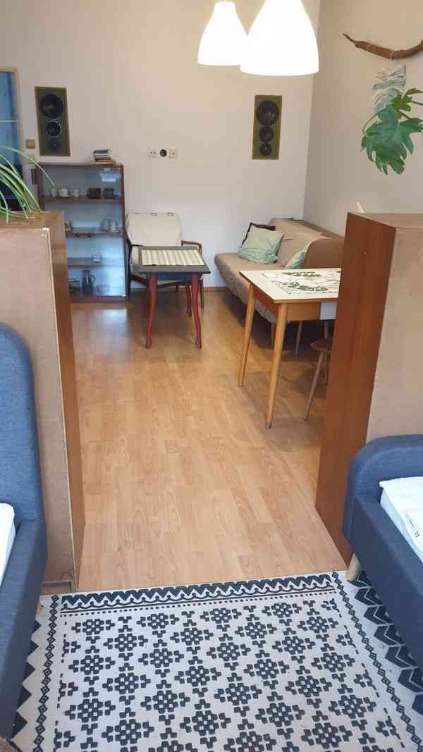 Pronájem bytu v RD 2kk,65m2, Brno Žabovřesky. Mozolky. - foto 7