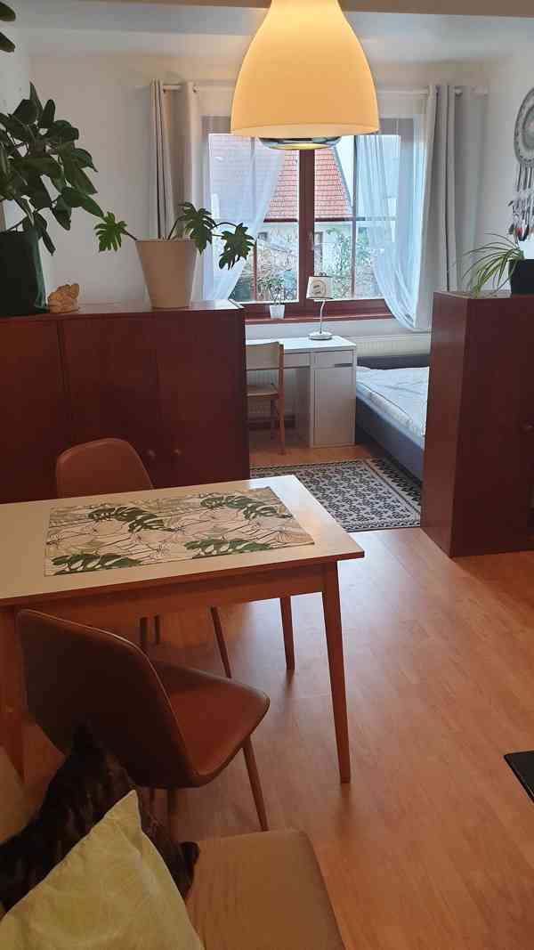 Pronájem bytu v RD 2kk,65m2, Brno Žabovřesky. Mozolky. - foto 6