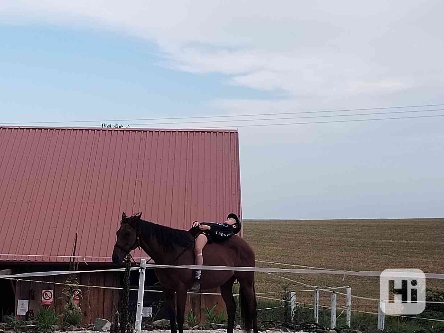 Pastevní ustájení - foto 1