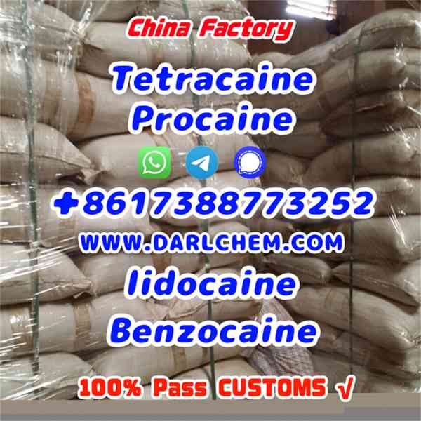 Lidocaine Benzocaine Procaine raw Powder 137-58-6 China Fact - foto 4