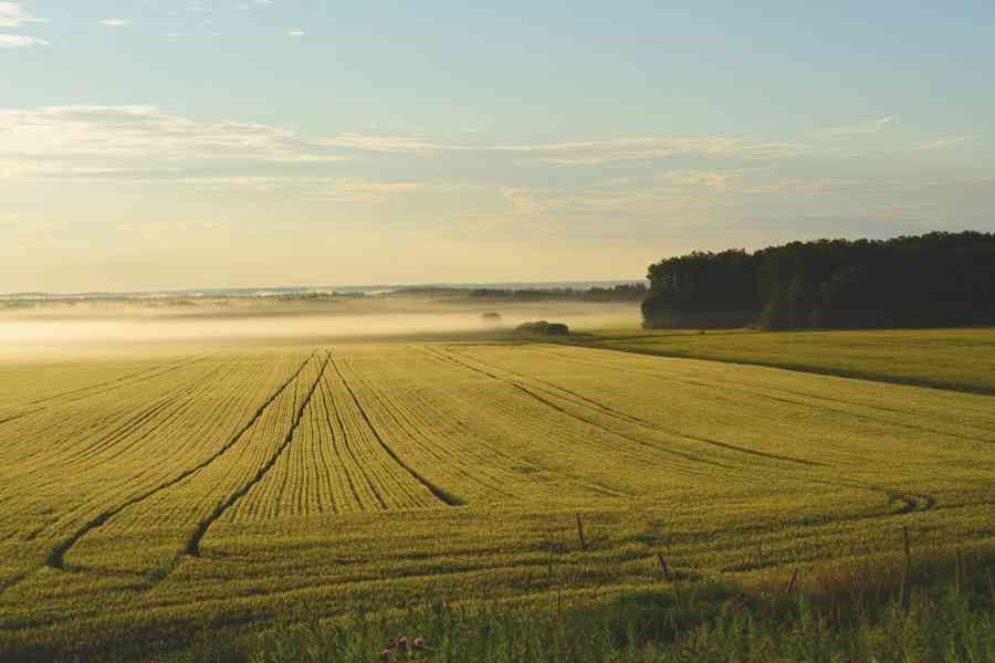 🏡 CHCETE PRODAT NEMOVITOST? NEJDŘÍV JI PŘIPRAVÍME - foto 4