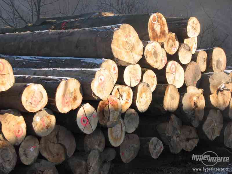 Kvalitní štípané dřevo na topení - foto 3