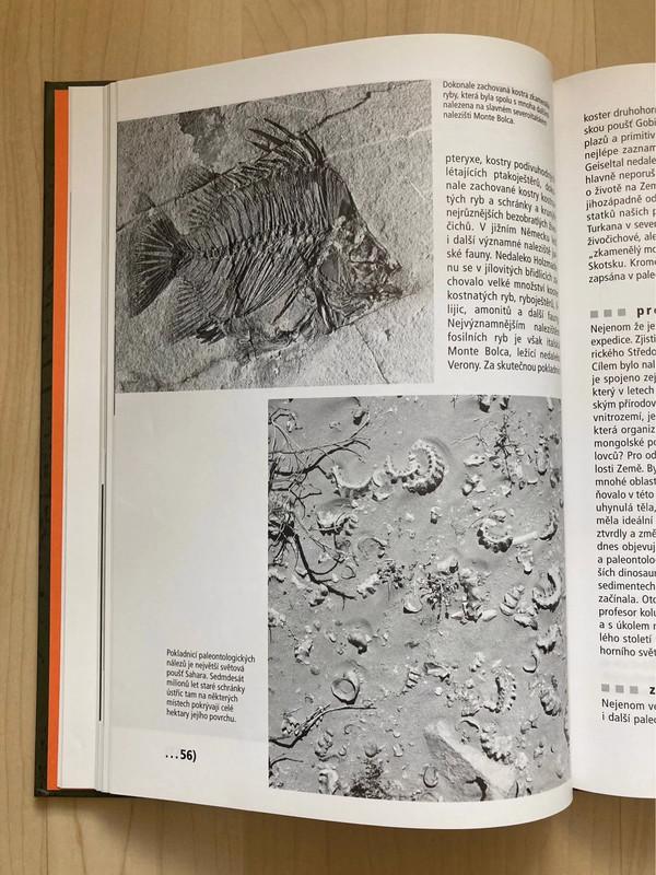 🌿 Jak se loví dinosauři aneb co nevíte o historii Země 🌿 - foto 4