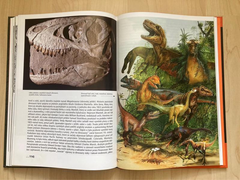 🌿 Jak se loví dinosauři aneb co nevíte o historii Země 🌿 - foto 3