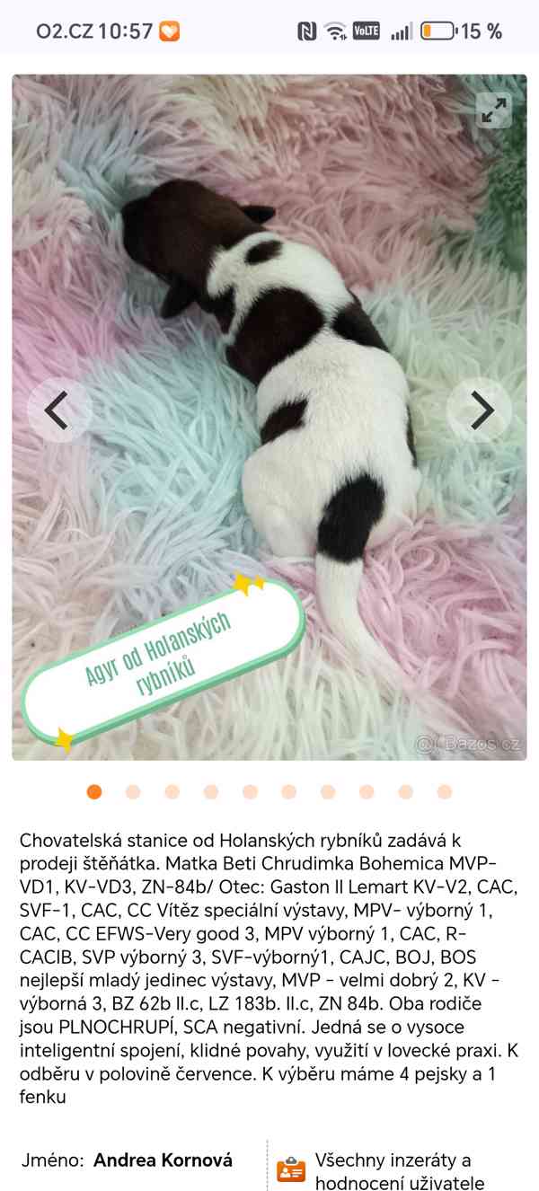 Foxteriér hladkosrstý štěňátka s PP  - foto 3