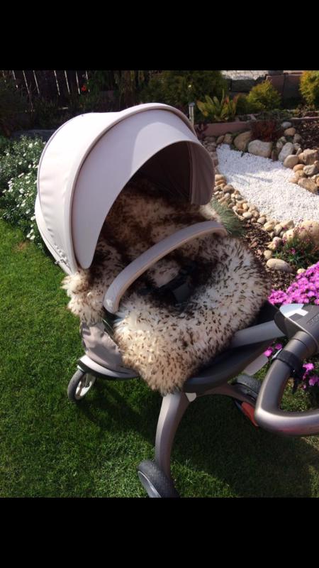 STOKKE xplory V3 - foto 3