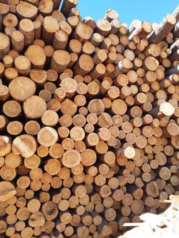 Dřevo - plotovky, hranoly, fošny - foto 1