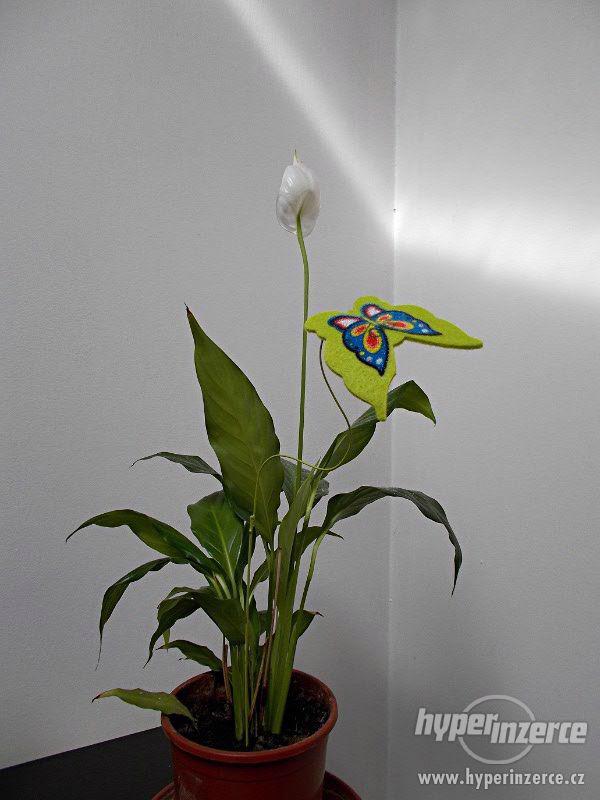 dekorace do květináčů- motýl 3ks, doprava zdarma - foto 2