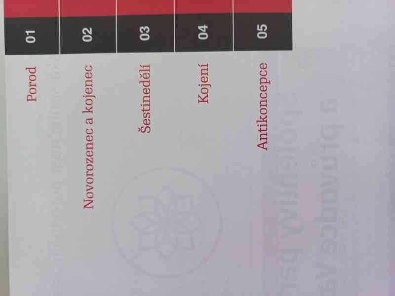 Trilogie Těhotenství, Porod a Dítě – Antonín Pařízek - foto 4