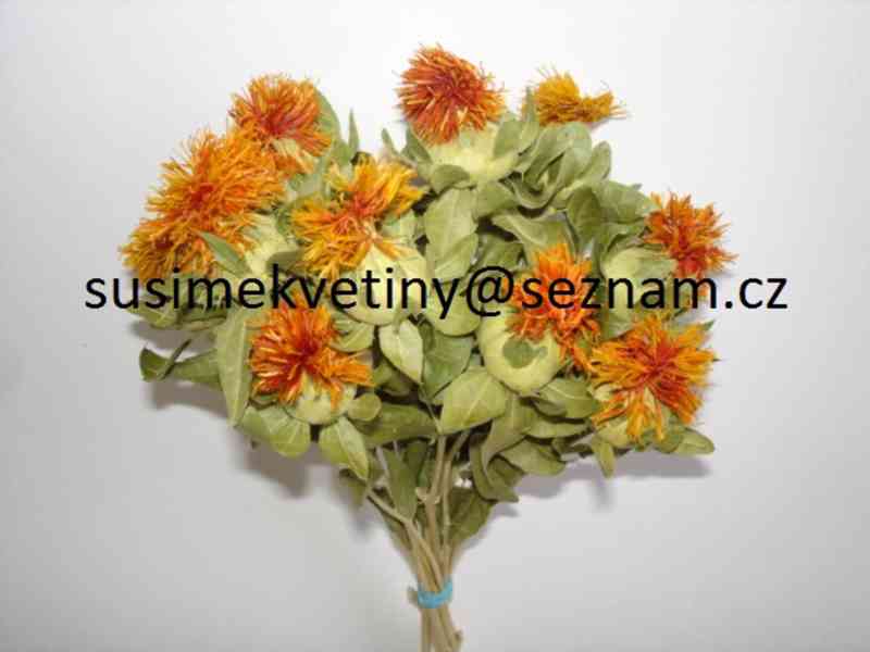 Velký výběr sušených květin - Slaměnky, Statice,… - foto 22