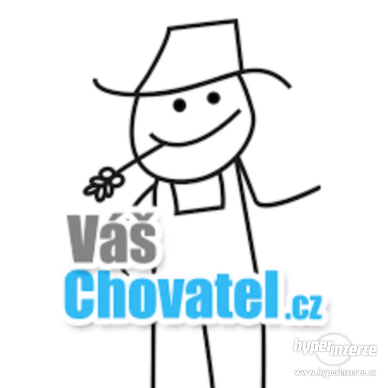 Slevový kód - Váš Chovatel -40,- - foto 1