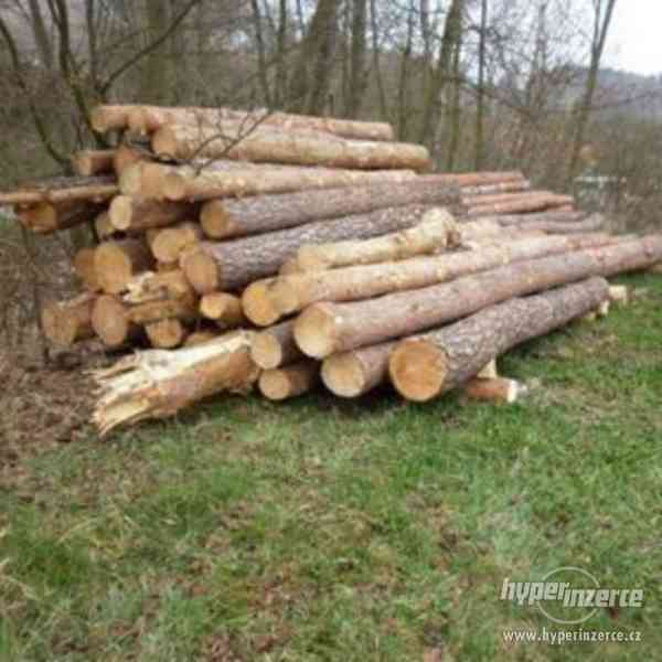 Palivové dřevo - borovice 450 Kč prostorový metr, doprava - foto 1