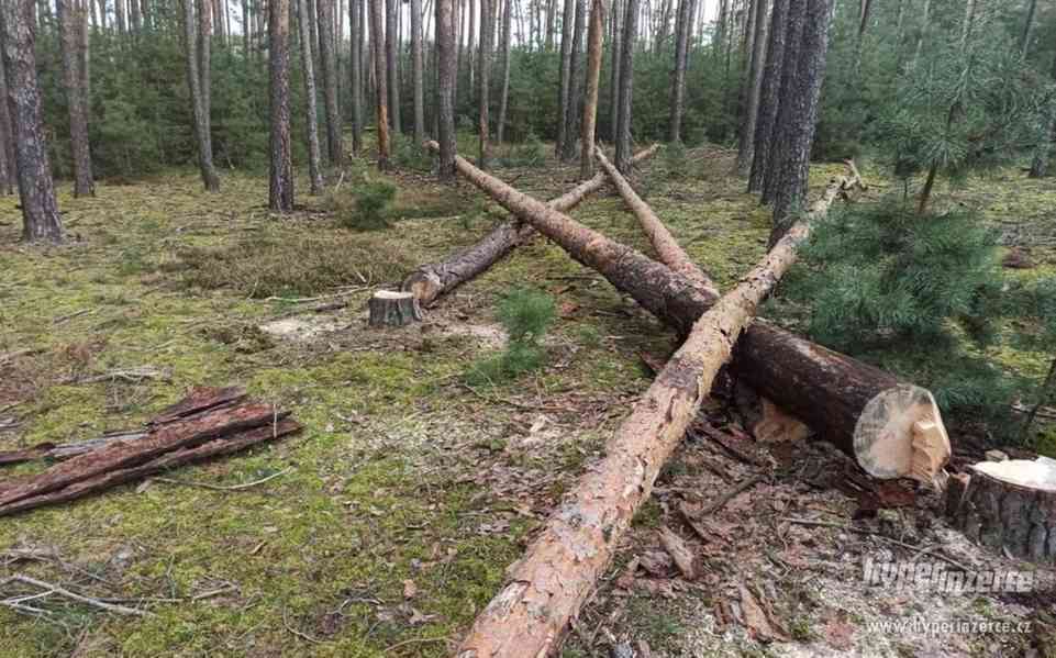 Palivové dřevo - borovice 450 Kč prostorový metr, doprava - foto 2