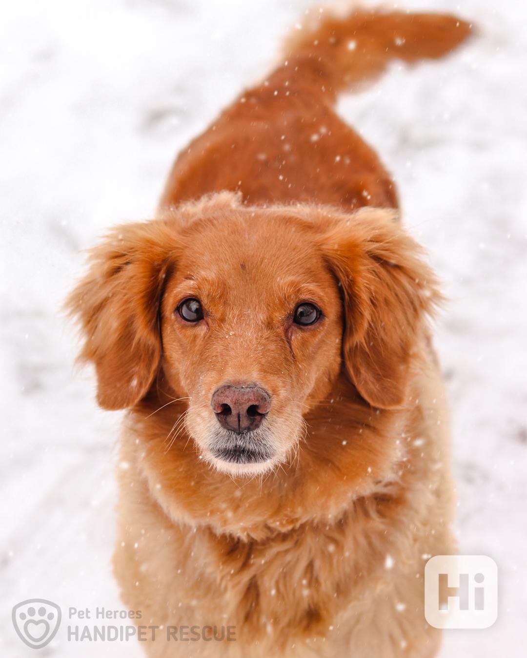 Malina ❤ mazlivá fenečka ❤ - foto 1