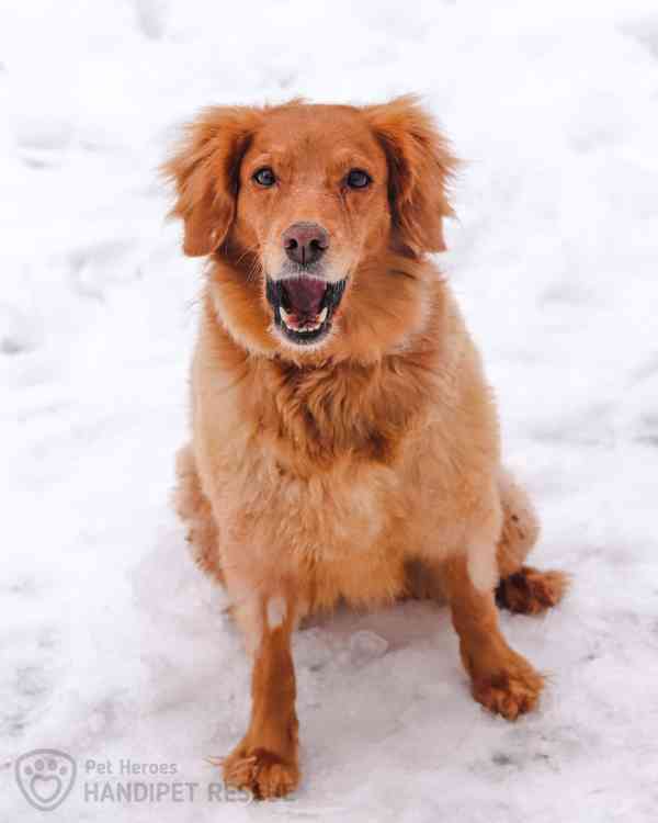 Malina ❤ mazlivá fenečka ❤ - foto 5