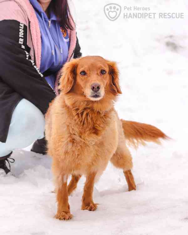 Malina ❤ mazlivá fenečka ❤ - foto 6