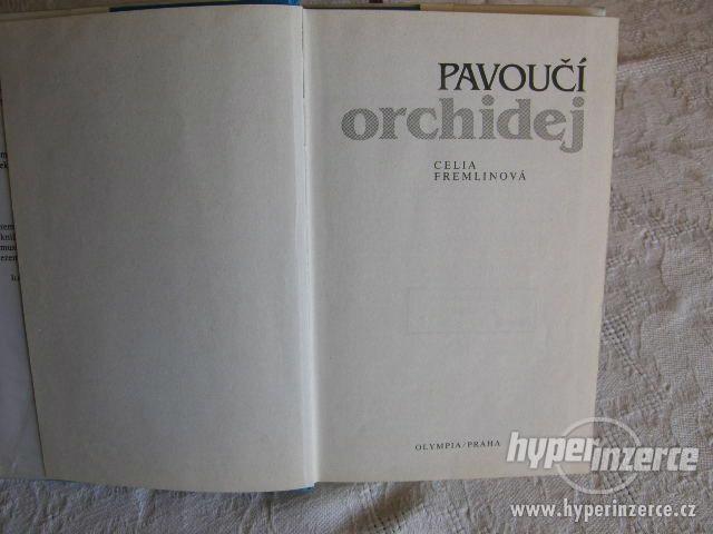 Pavoučí orchidej - prvotřdní thriller - foto 2