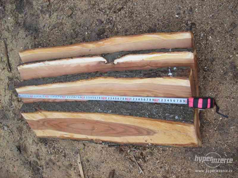 Švestkové fošny 4cm na zalití do pryskyřice.... - foto 9