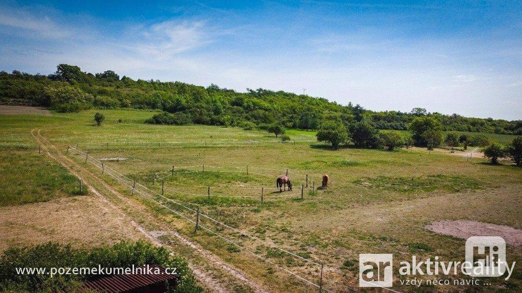 Stavební pozemek, 928 m2 - Tuhaň - foto 14