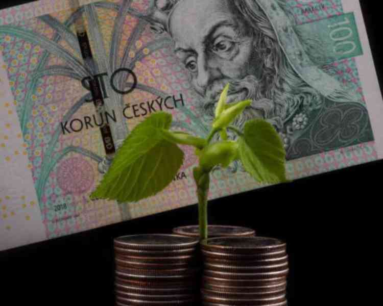 RYCHLA POMOC  - foto 2