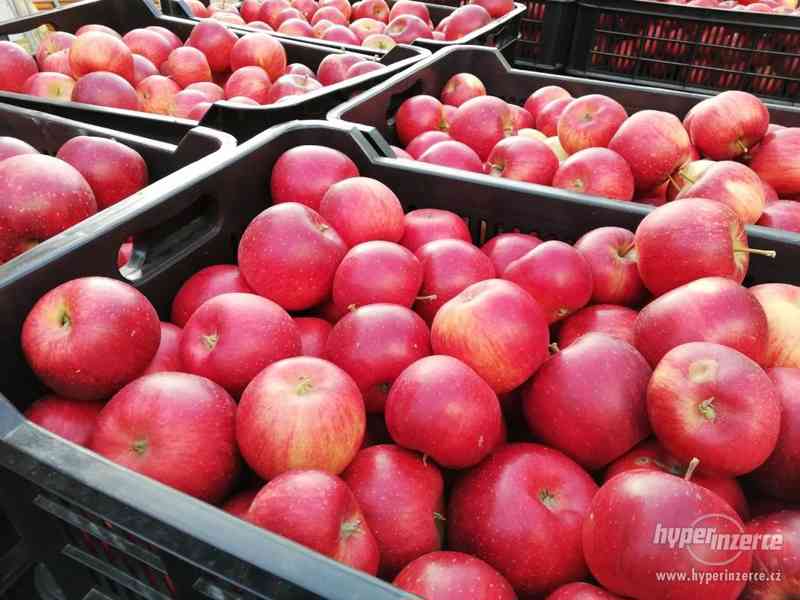Prodej jablek Rubín - foto 2