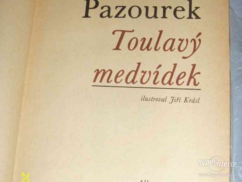 TOULAVÝ MEDVÍDEK - VLADIMÍR PAZOUREK - foto 2