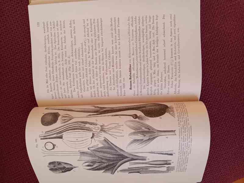  Lehrbuch der Pfarmakognosie Moeller 1889 - foto 2