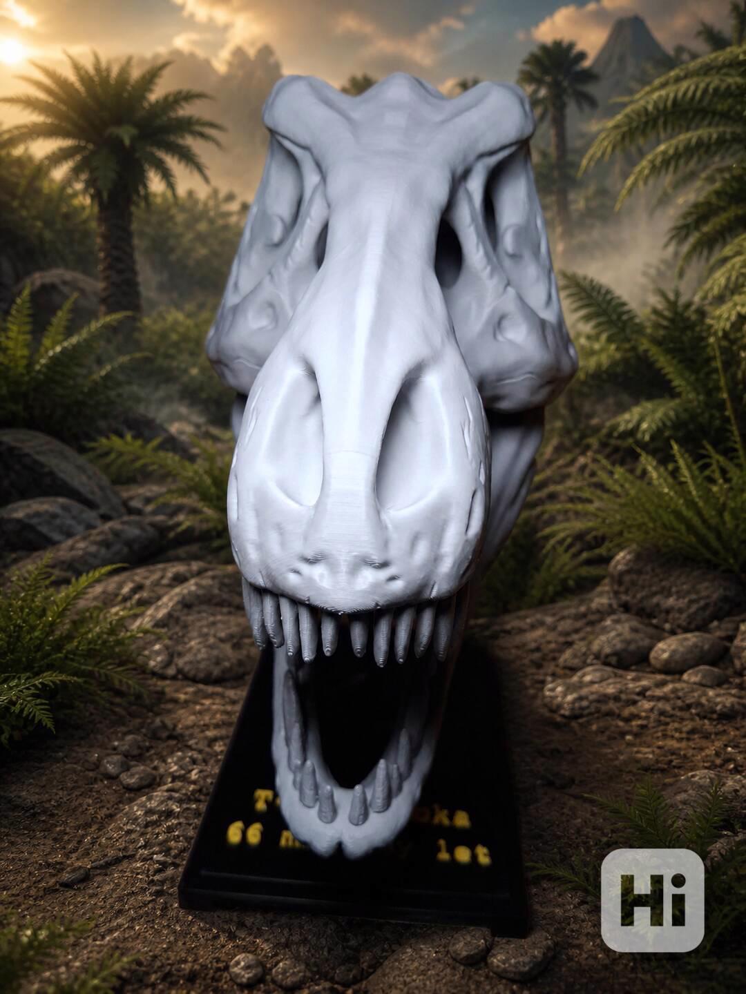 🦖 Lebka T-Rexe, která okamžitě upoutá pozornost - foto 1