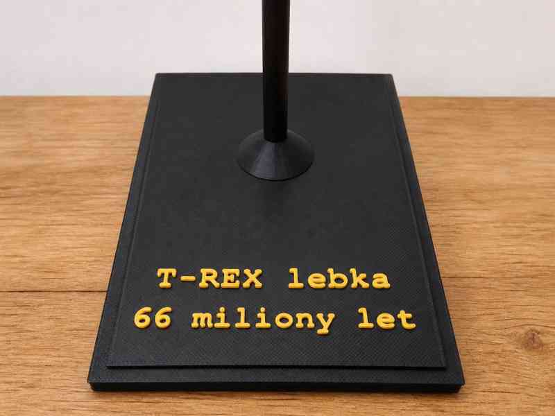 🦖 Lebka T-Rexe, která okamžitě upoutá pozornost - foto 7
