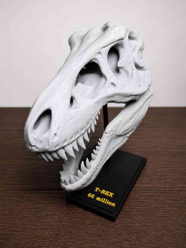 🦖 Lebka T-Rexe, která okamžitě upoutá pozornost - foto 5