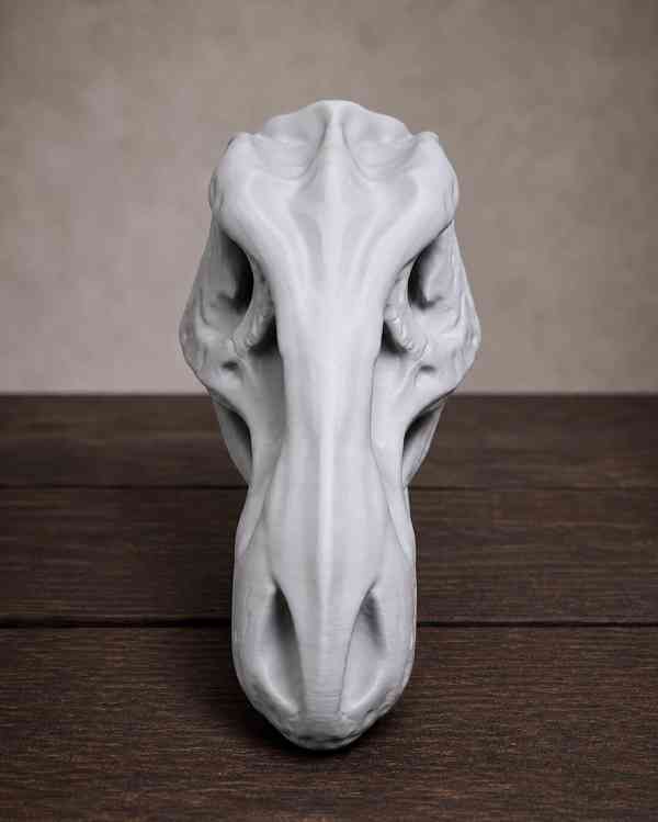 🦖 Lebka T-Rexe, která okamžitě upoutá pozornost - foto 3