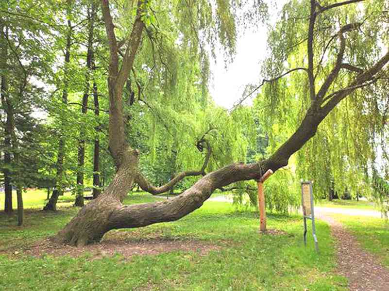 Pronajmu novostavbu  2+kk  Slavkov u Brna,  62 m2. - foto 33