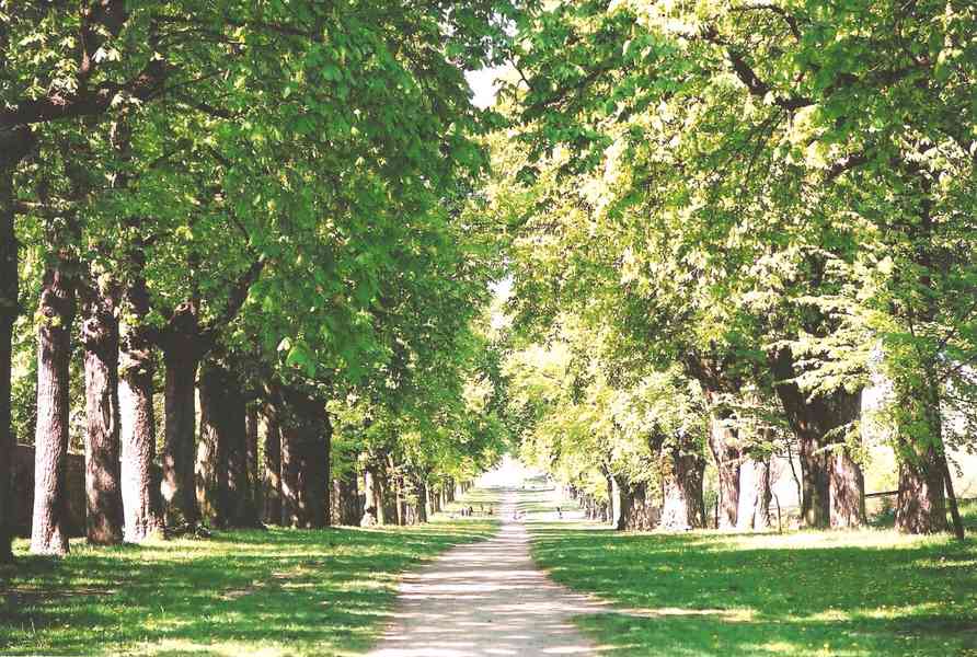 Pronajmu novostavbu  2+kk  Slavkov u Brna,  62 m2. - foto 31